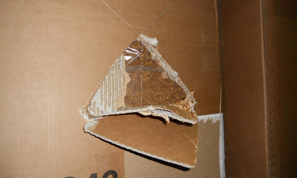 2013-1-16-1148Snímek 010.jpg